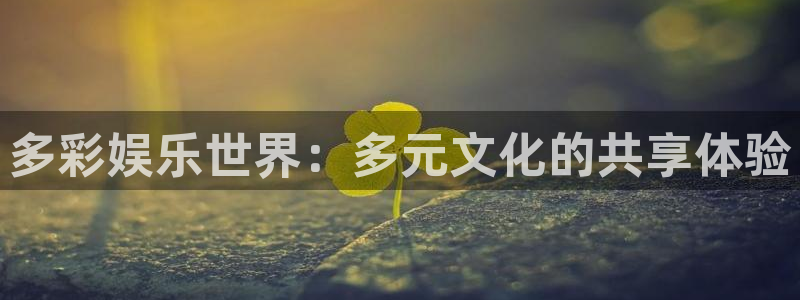 耀世娱乐入口：多彩娱乐世界：多元文化的共享体验